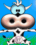 pic for Big Face Blue